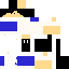 Texture for hola carlos