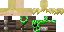 Texture for joey