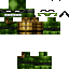 Texture for Enemy Turtles