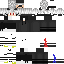 Texture for P REGA