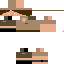 Texture for Achiologe