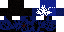 Texture for dogi