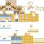 Texture for sunflower
