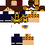 Texture for HERMAN