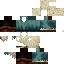 Texture for Snowy Skin Hood