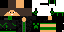 Texture for Max5000