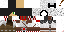 Texture for Assassin