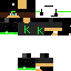 Texture for steve