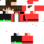Texture for Steve