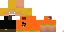 Texture for csanner