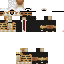 Texture for dsdsd
