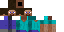 Texture for Steve has two faces