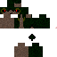 Texture for Snivy.EXE