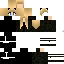 Texture for wd