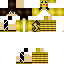 Texture for pi824pe