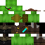 Texture for snow turtle
