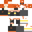 Texture for Felix