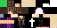 Texture for Ender