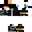 Texture for Steve