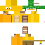 Texture for patocxo turtle