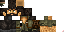 Texture for joel