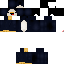 Texture for Penguin With a Helmet