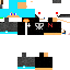 Texture for NetPro_