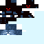 Texture for Wither 1