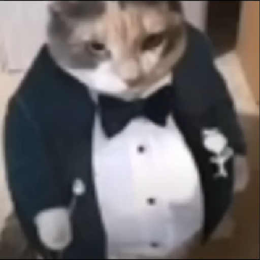 Texture for cat god