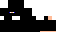 Texture for Ninja
