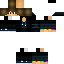 Texture for WaffleMast3r