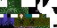 Texture for zobie/enderman man