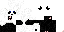 Texture for Panda
