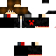 Texture for ds