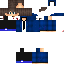 Texture for Destmid