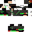 Texture for FLaSh