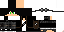 Texture for Steve