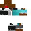 Texture for Mincraft skin