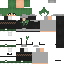 Texture for 2313