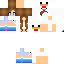 Texture for Short sleev Roasting_Chicken