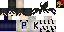 Texture for Pauloo_PvP