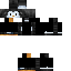 Texture for penguin