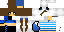 Texture for Eclipse