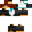 Texture for pinto mole