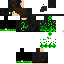 Texture for PGM46