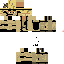 Texture for SIM