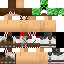 Texture for steve