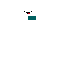 Texture for whiteman