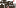 Texture for פרה