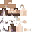 Texture for Mineval